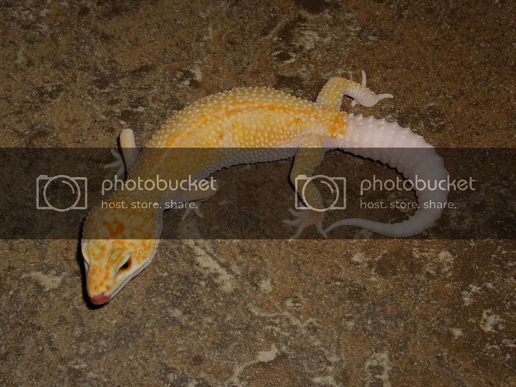 IMGP6119.jpg
