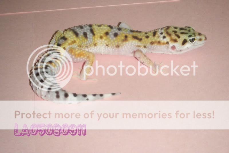 DSCF1519.jpg