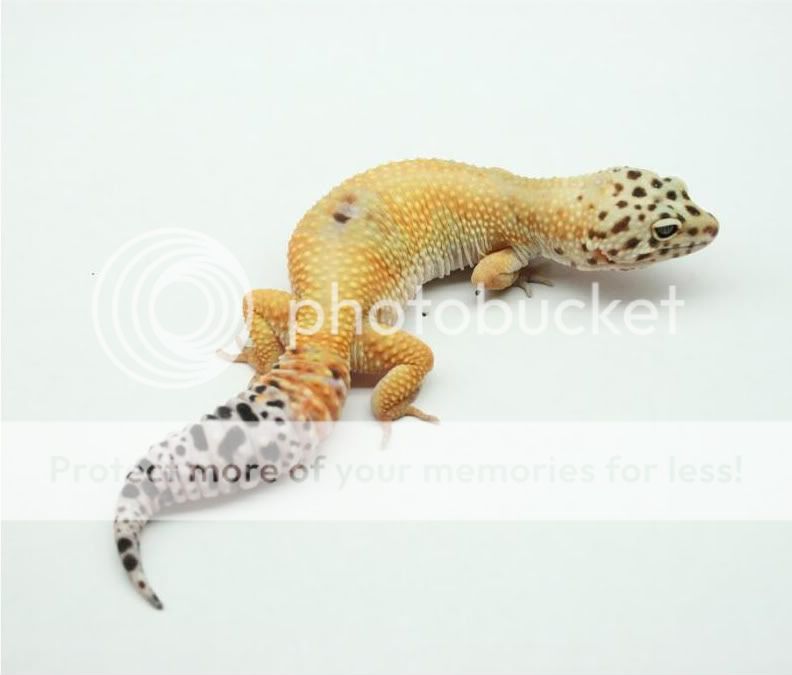 photoshoot6-1-09008.jpg