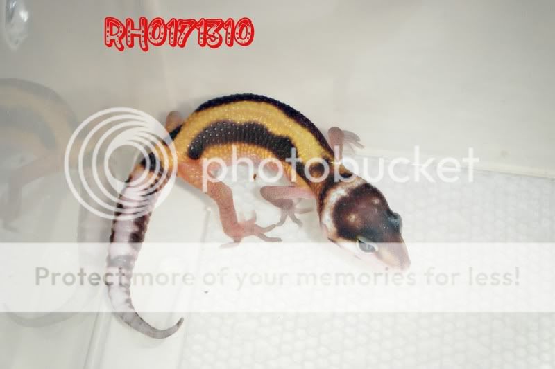 DSCF8063.jpg