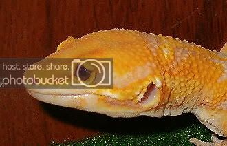 Eyecut.jpg