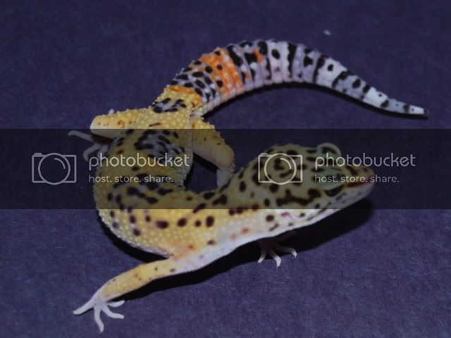 CSC_1391.jpg