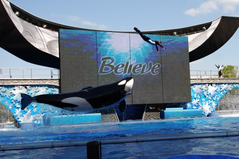 seaworld-launch.jpg
