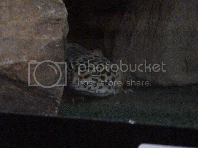 DSC00065.jpg