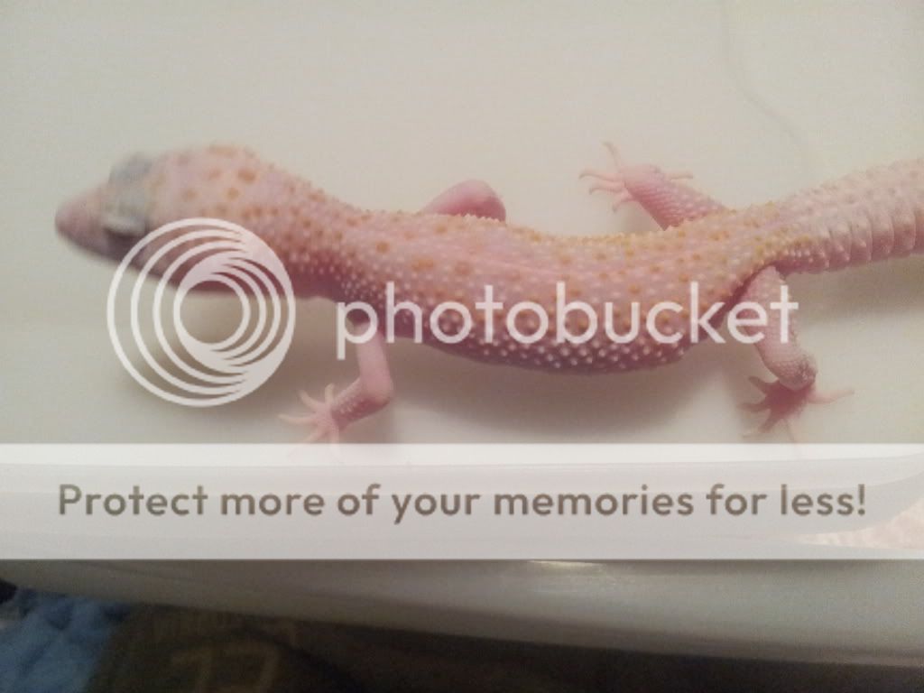 20120301_230826.jpg