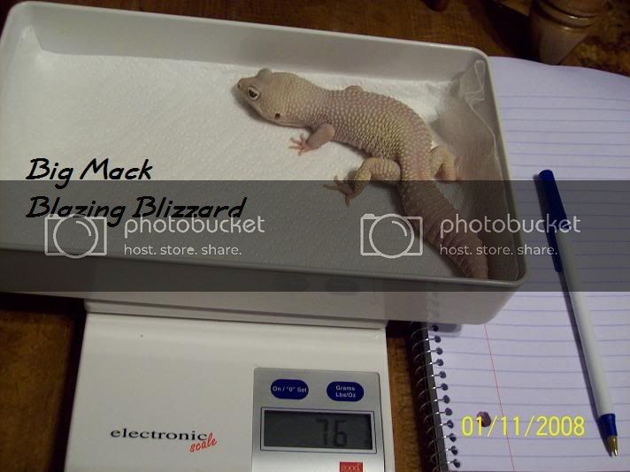 PictureorVideo038.jpg