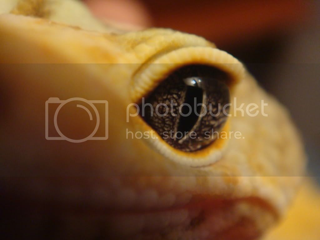 olho-1.jpg