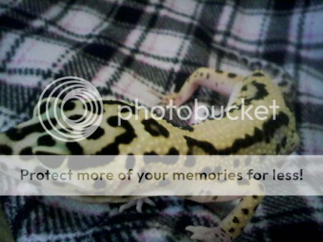 0212091138_0001_0001.jpg
