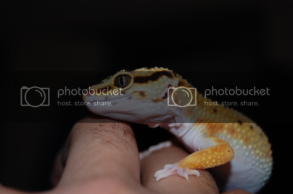 DSC_0111.jpg