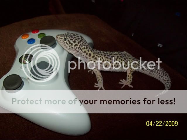 100_1709.jpg