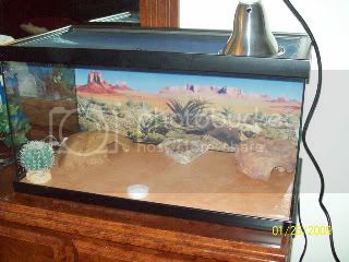 100_1044.jpg