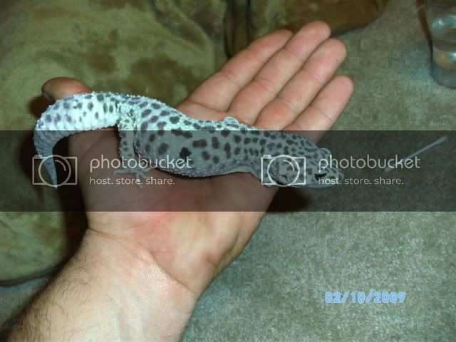 PICT0415.jpg