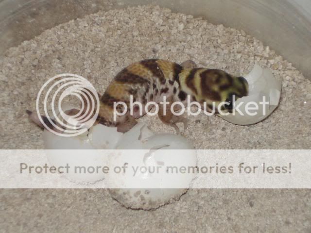 nakweek200925-04045.jpg
