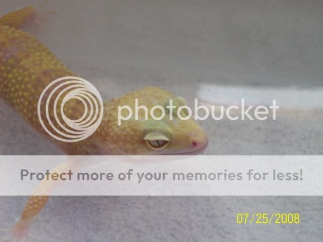 100_1532.jpg