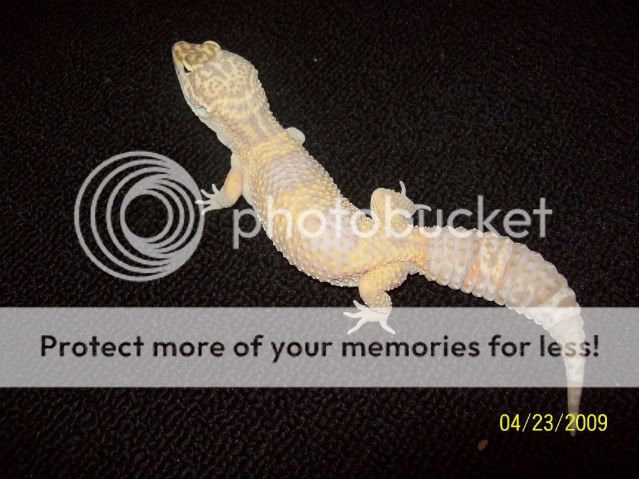 100_1741.jpg