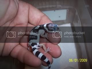 100_2872.jpg
