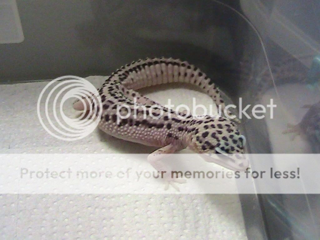 Picture041.jpg