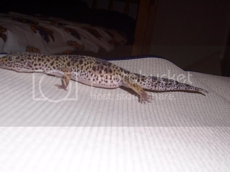 100_1718.jpg
