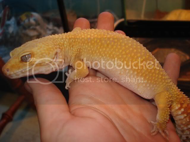 female1.jpg