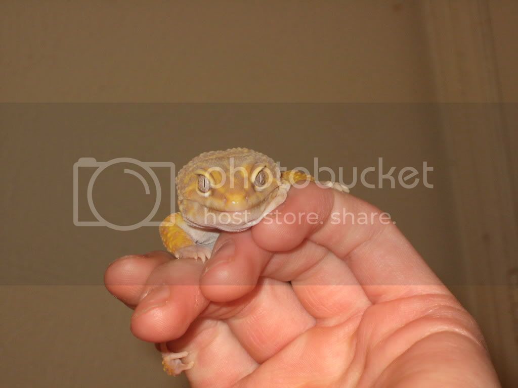 IMG_9732.jpg