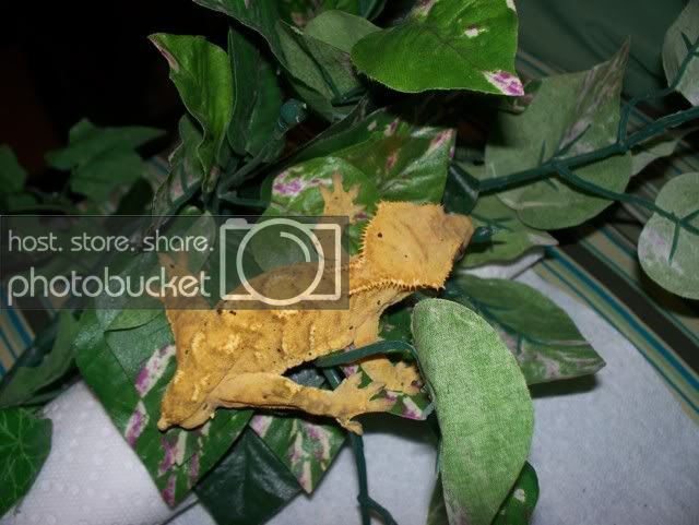 100_8539.jpg