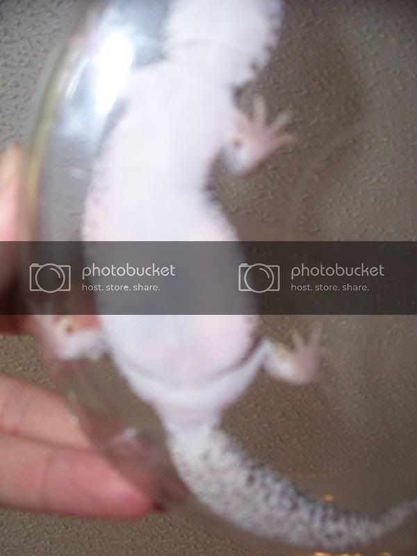 100_1746.jpg