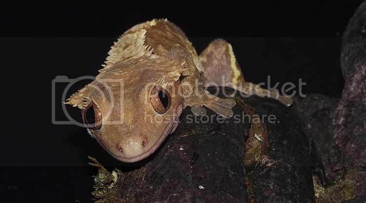 DSCF4251.jpg