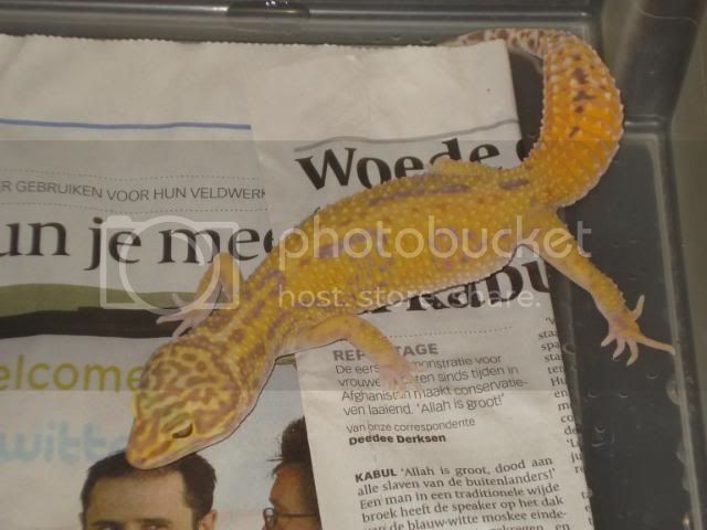 groepenenegyptezending026.jpg
