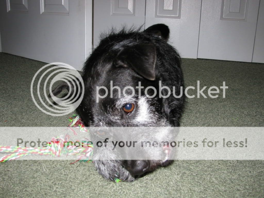 IMG_2165.jpg