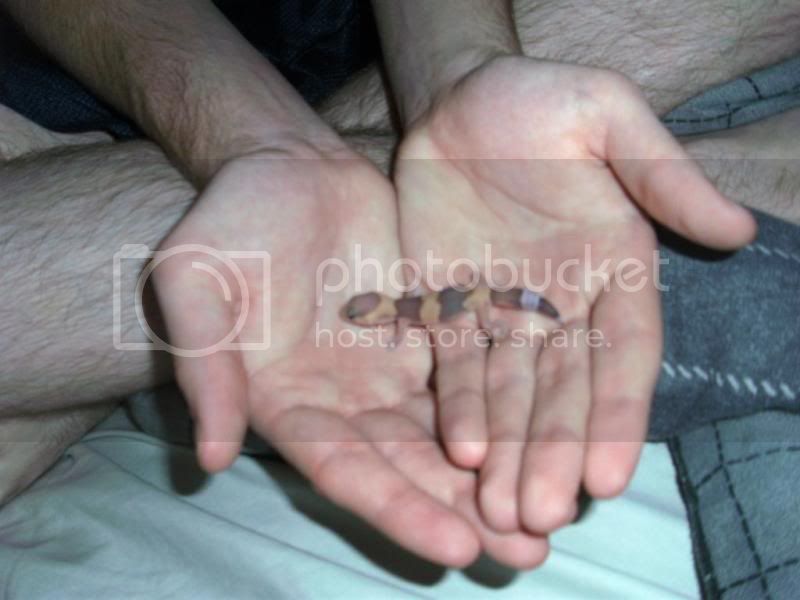 MiriHand.jpg