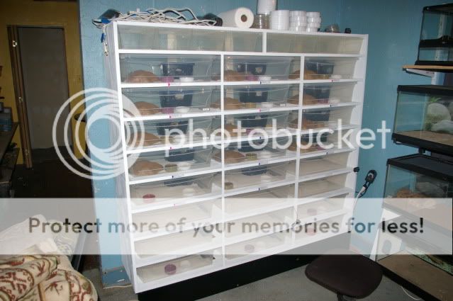 11-09racks017.jpg