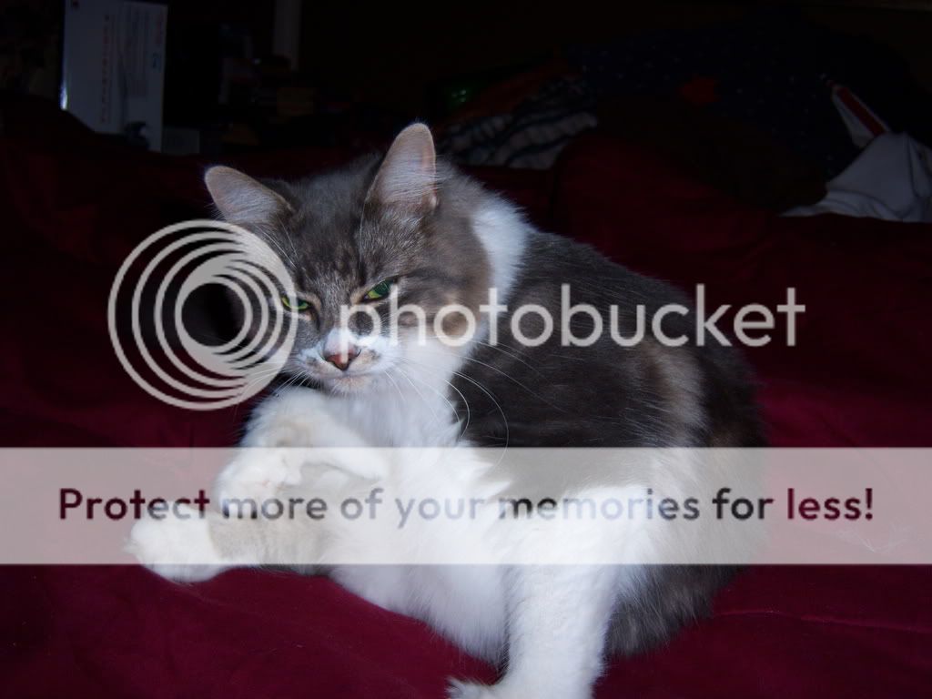 100_6617.jpg