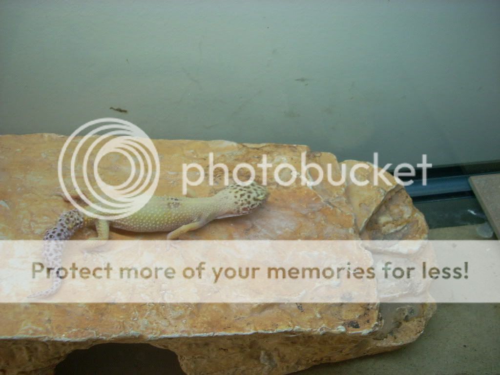 DSCN0120.jpg