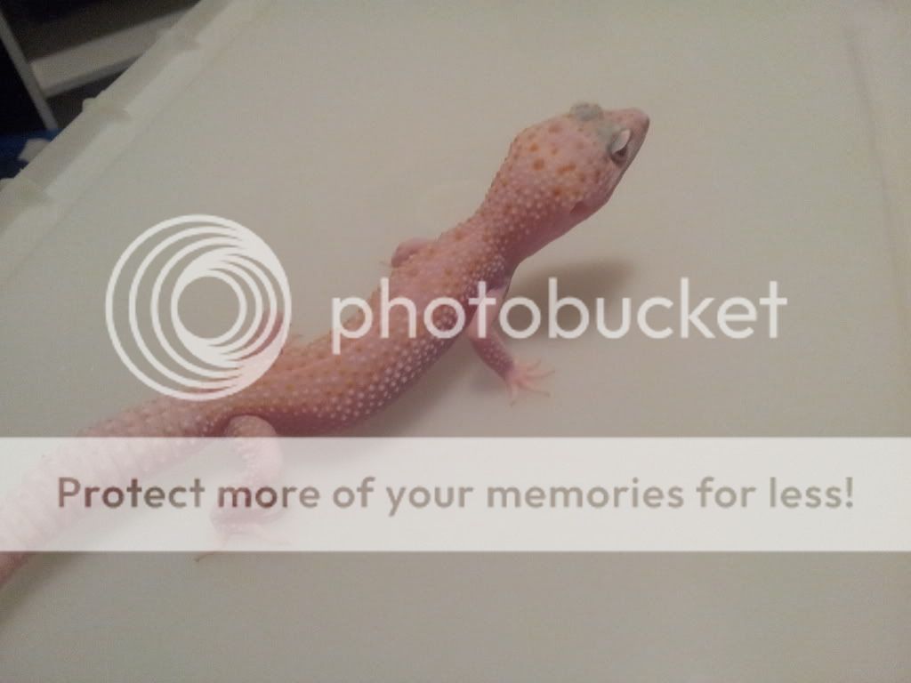 20120301_230911.jpg