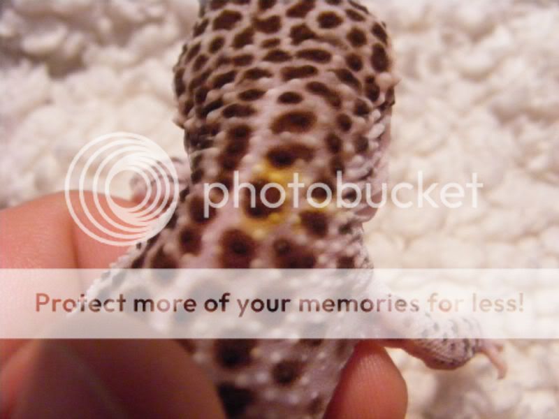 DSCF1022.jpg