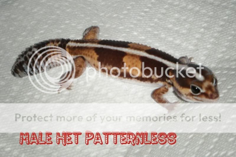 DSCF1122.jpg