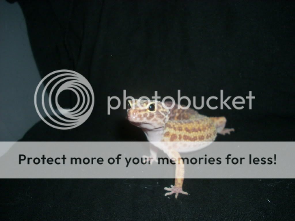 DSCN0488.jpg