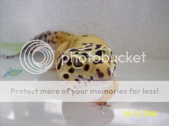 100_1717.jpg