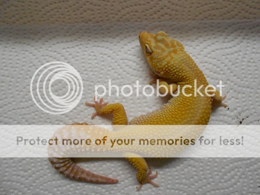 DSCN3855.jpg