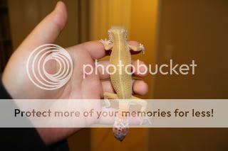 IMG_1207.jpg