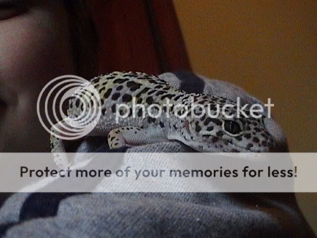 DSC000531.jpg