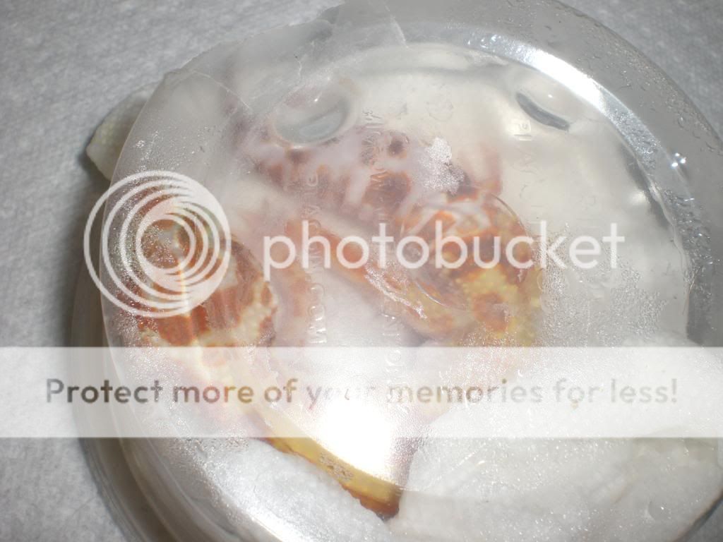 junepix037.jpg