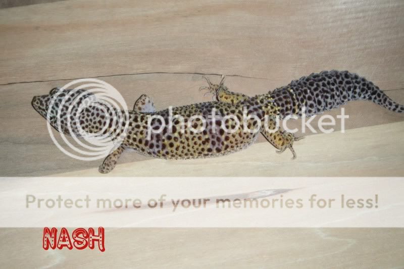 DSCF0168.jpg