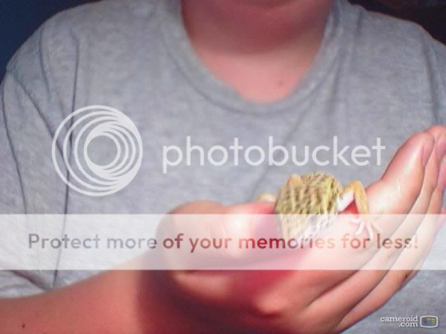 snapshot2.jpg