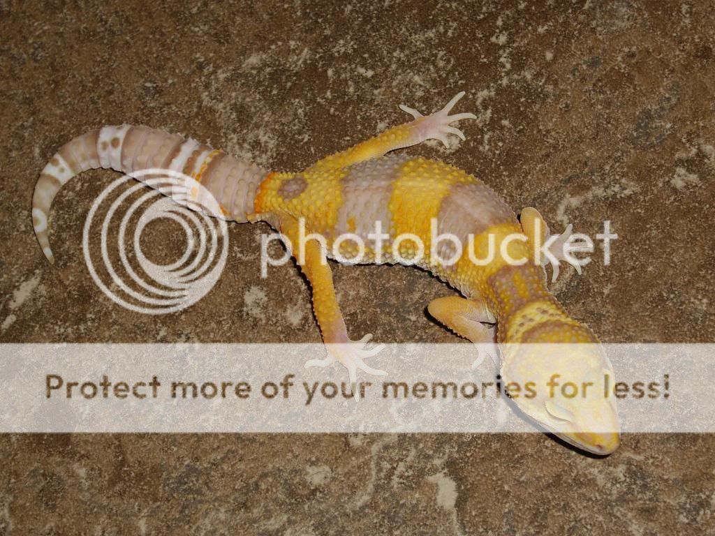 IMGP6401.jpg