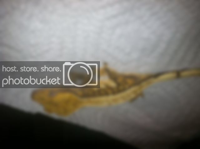 photo21.jpg