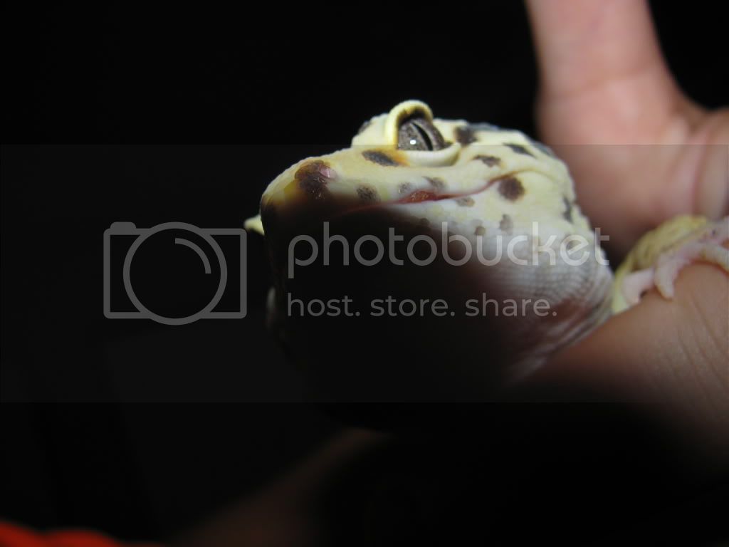 IMG_2441.jpg
