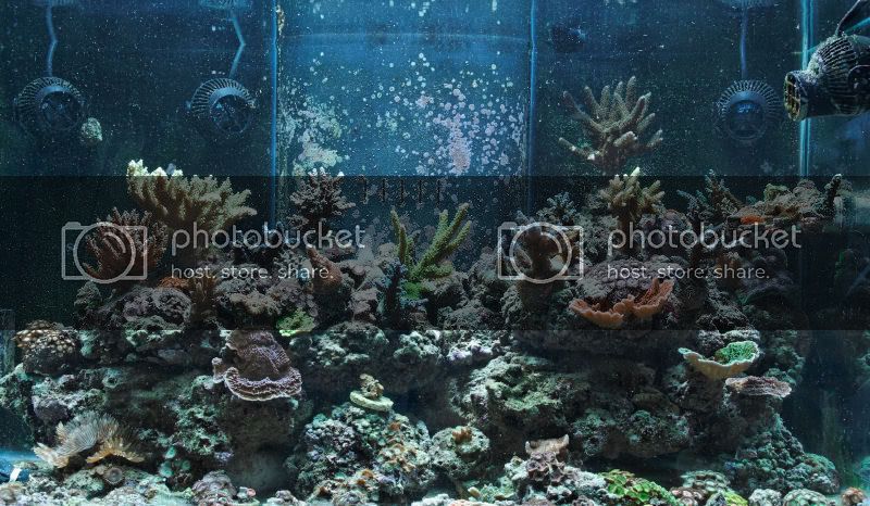 fts-2.jpg