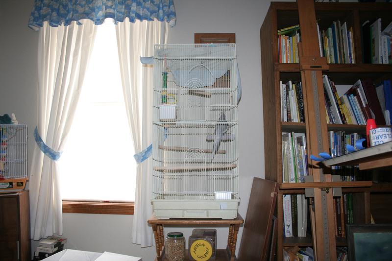 cage_by_spshlfx.jpg
