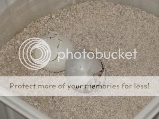 nakweek200925-04038.jpg